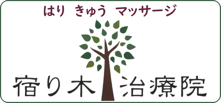 はり・きゅう宿り木治療院（茅ヶ崎）